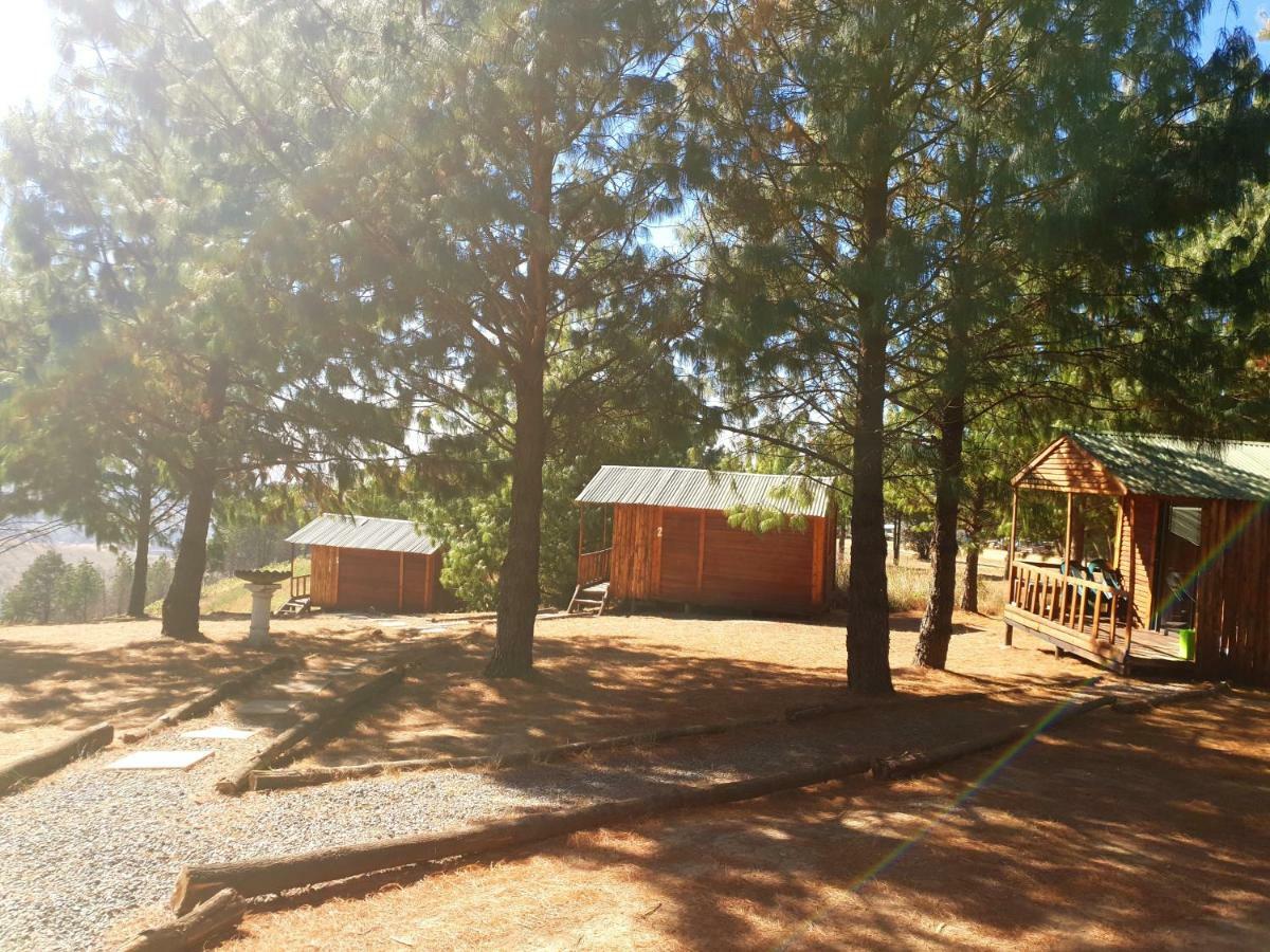 Dargle Forest Lodge Exterior foto